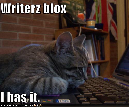 funny-pictures-cat-has-writers-block